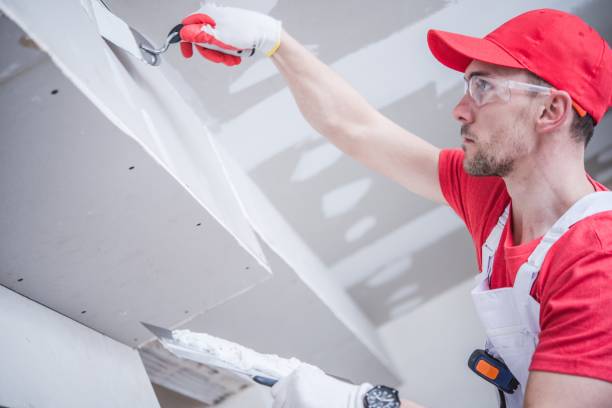 Best Drywall Removal and Disposal  in Audubon Park, NJ